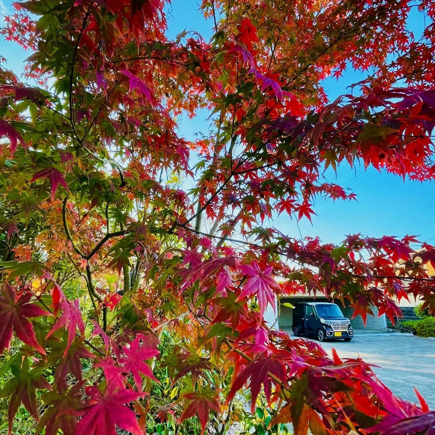 柳川ゲストハウス 憩 Dış mekan fotoğraf